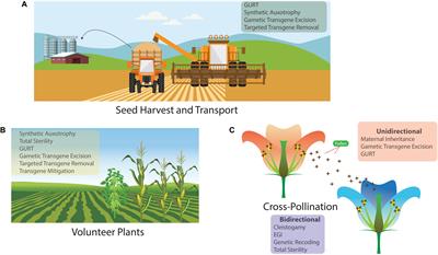 Transgene Biocontainment Strategies for Molecular Farming
